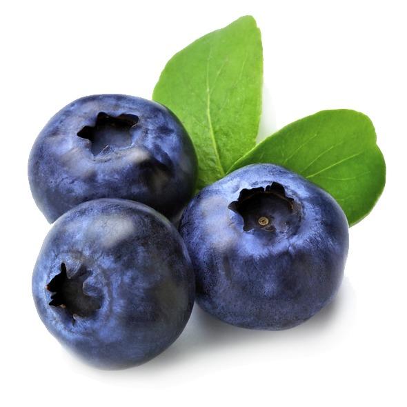 Blueberries US/Mex (1/2 pint)