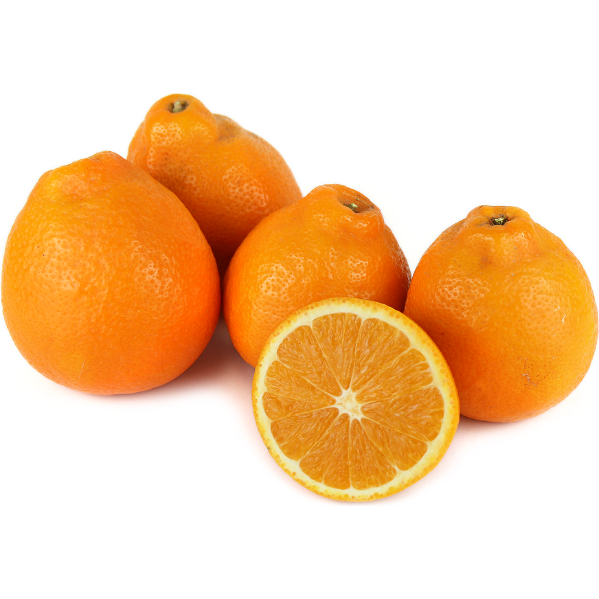 Minneola Tangelo