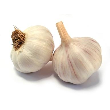 Garlic US (each)