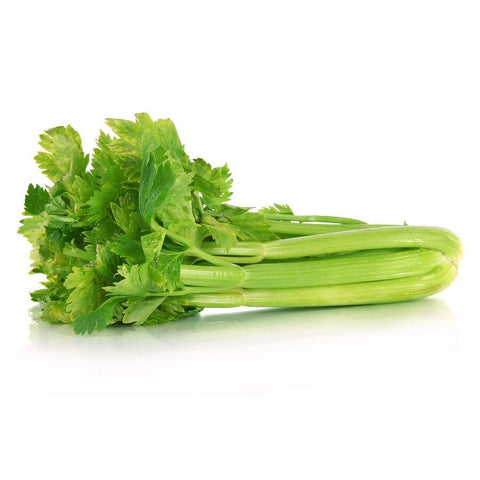 Celery Stalk