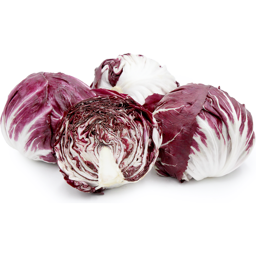 Radicchio