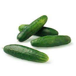 Field Cucumber (each)